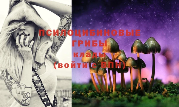 ECSTASY Алзамай
