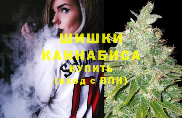 мяу мяу мука Абаза