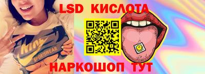 spice Тара