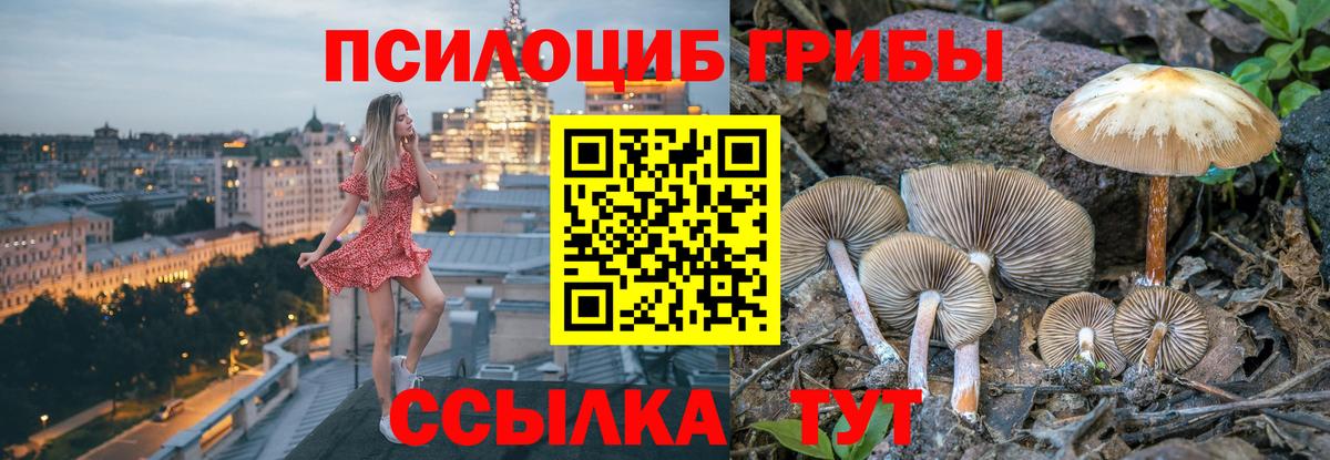 Норильск  Галлюциногенные грибы Psilocybe  Вход с VPN 