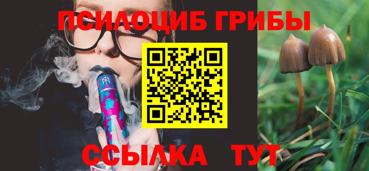 Псилоцибиновые грибы ЛСД Норильск