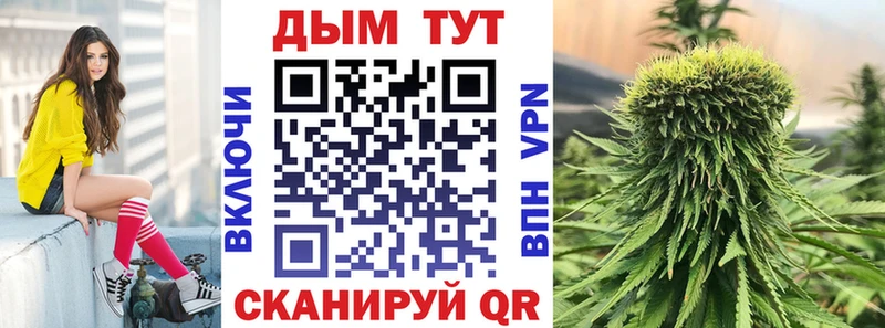shop какой сайт  Норильск  Канабис сатива 